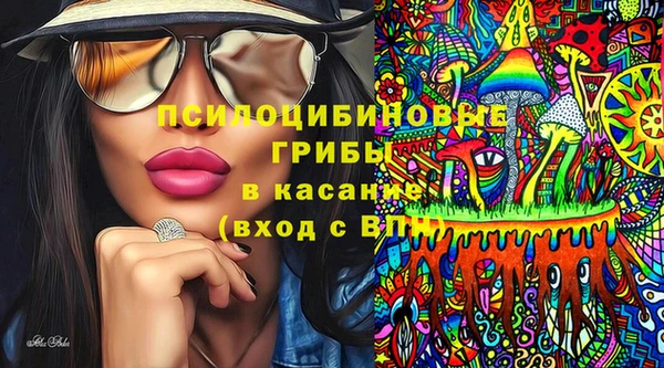 стафф Верея