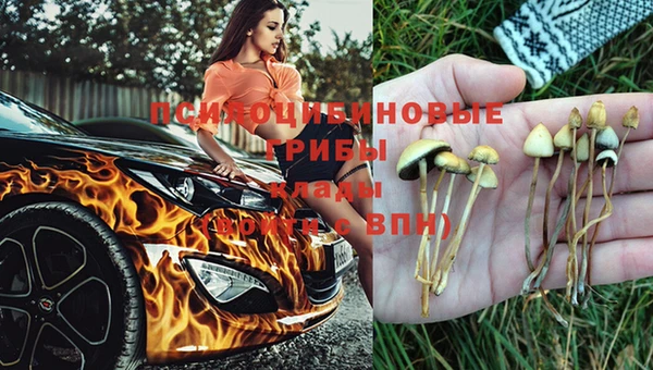 стафф Верея