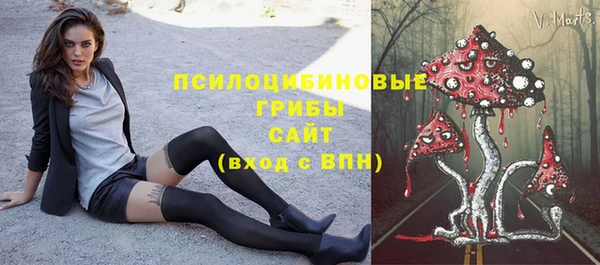 стафф Верея