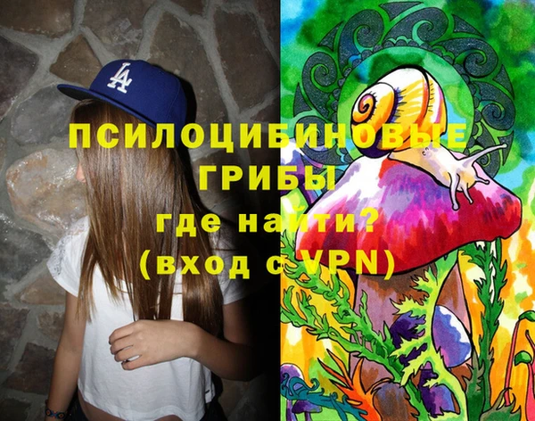 стафф Верея